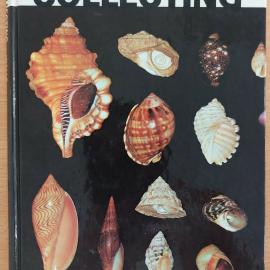Shell Collecting