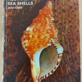 Australian Sea Shells