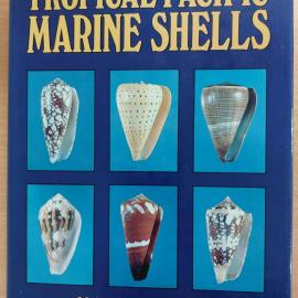 Tropical Pacific Marine Shells