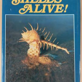 Shells Alive!