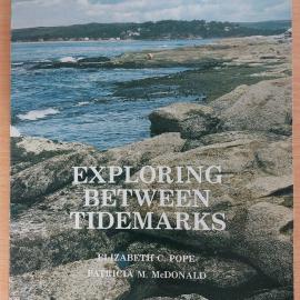 Exploring between Tidemarks