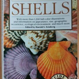 Simon & Schuster's Guide to Shells
