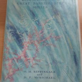 Queensland and Great Barrier Reef Shells