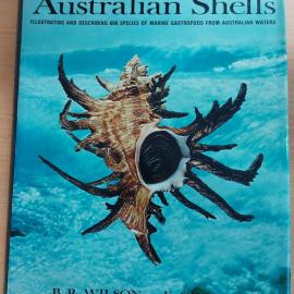 Australian Shells 