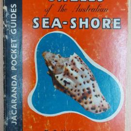 Shells of the Australian Sea-Shore