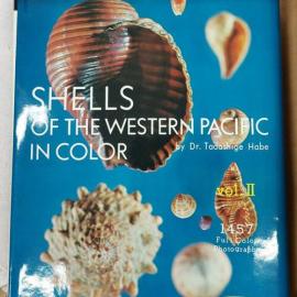 Shells of the Western Pacific in Color