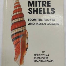Mitre Shells From the Pacific and Indian Oceans