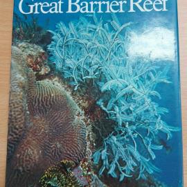 A look at wildlife of the Great Barrier Reef