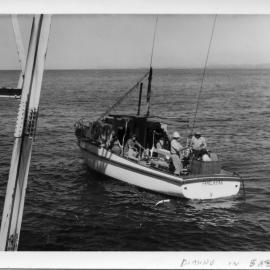 Dianne Ross in South Solitary Island basket for transfer, early 1970s