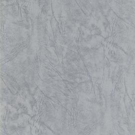 Biographical notes on the Bailey family