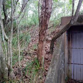 World War II bunker on Dowsett Drive, 25 May 2018