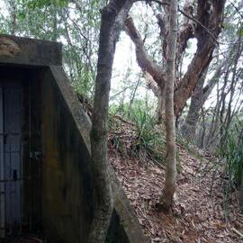 World War II bunker on Dowsett Drive, 25 May 2018