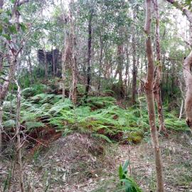 Outlet for the World War II bunker on Dowsett Drive, 25 May 2018