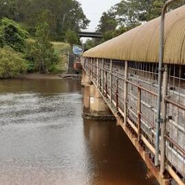 Northern view of the footbridge beside the railway track, 1 July 2021