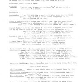 Local government names