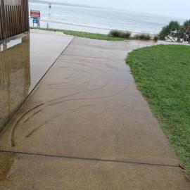 Fish Stencil, Arrawarra Headland