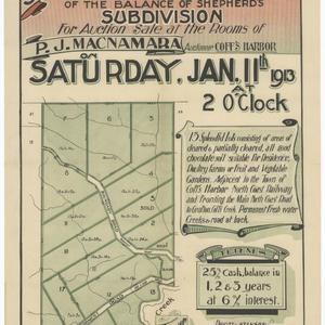 [Fitzroy County subdivision plans] [cartographic material]