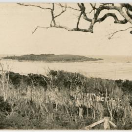 Bonville Creek, 1919