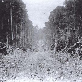 Lowanna's main street before its development, 1909