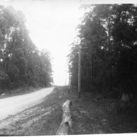 The road to Bucca, c.1955