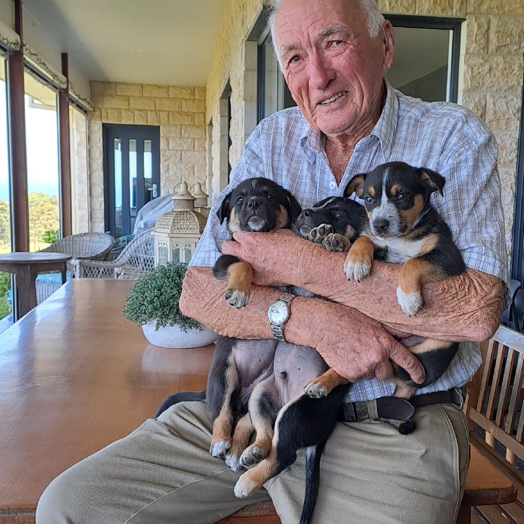 Robert Mutton Interview Part One