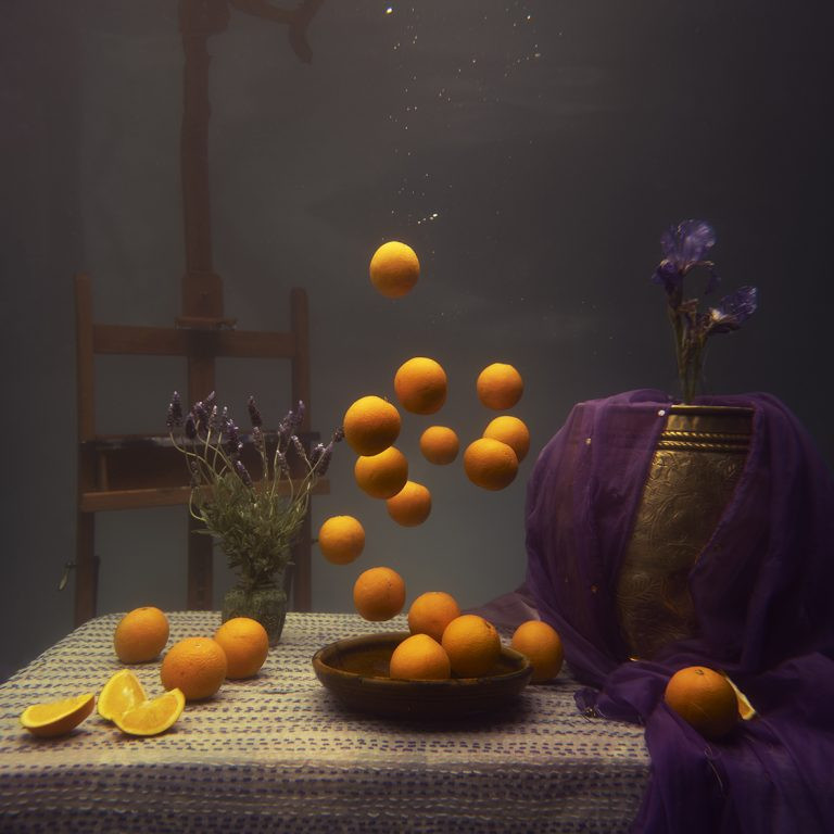 STILL: National Still Life Award 2023