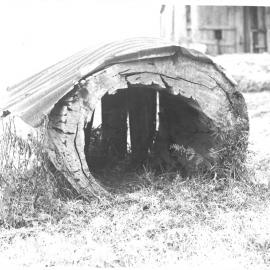 Dog kennel