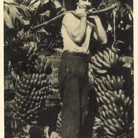 Man carrying bananas