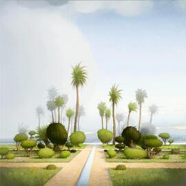 Beginners’ guide to palms