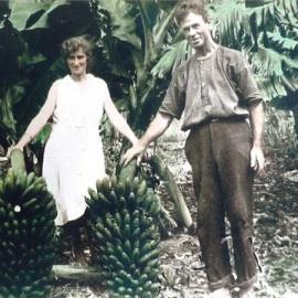 Daisie Williams and Harry Fraser with banana harvest