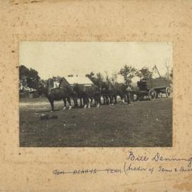 Bill Denning with horse team, Coramba Road, Coffs Harbour, 1918-1920