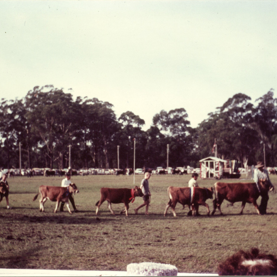 Coffs Harbour Show Society