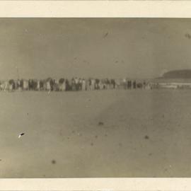 Large crowd gathered on beach