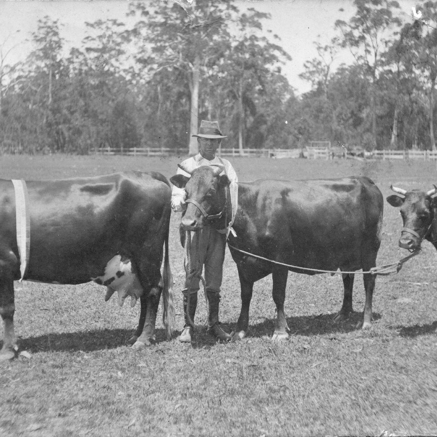 Coffs Harbour Showground