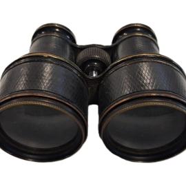 Binoculars in Case