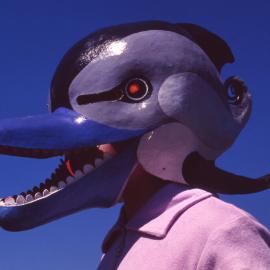 Dolphin mask