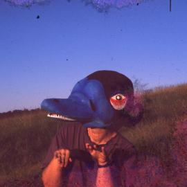 Platypus mask