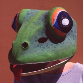 Reptile mask