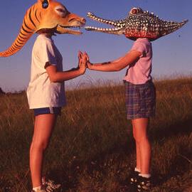 Homemade masks