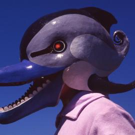 Dolphin mask