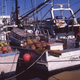 Boats at the Marina