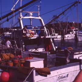 Boats at the Marina