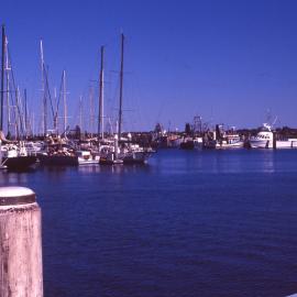 Boats at the Marina