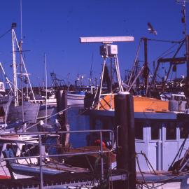 Boats at the Marina