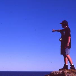 Person looking out from Muttonbird Island