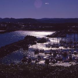 View of the Marina from Muttonbird Island