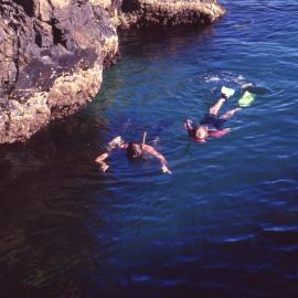 People snorkeling 