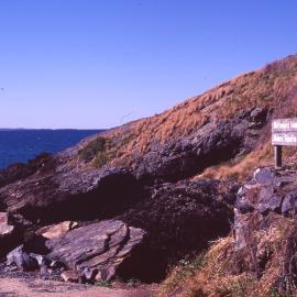 Muttonbird Island Nature Reserve