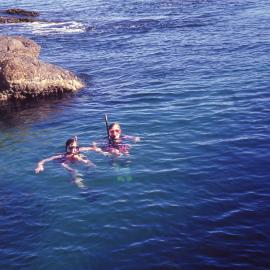 People snorkeling 