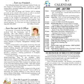 Beach to Bush News issue 3